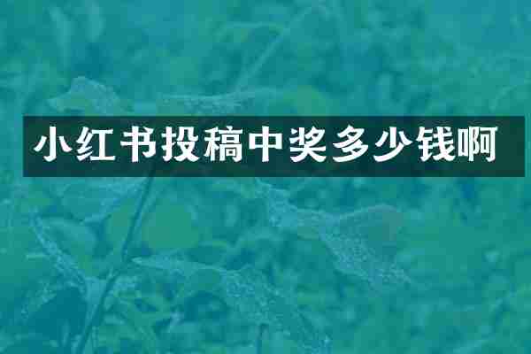 小红书投稿中奖多少钱啊