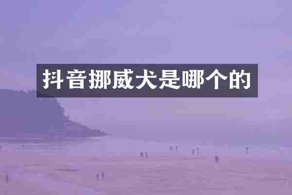 抖音挪威犬是哪个的