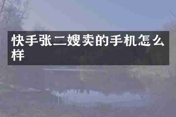 快手张二嫂卖的手机怎么样