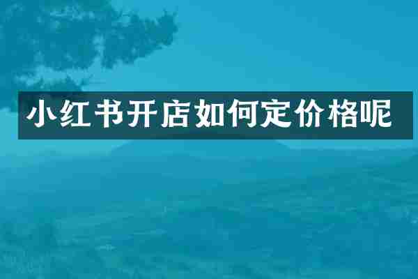 小红书开店如何定价格呢