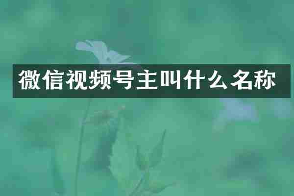 微信视频号主叫什么名称