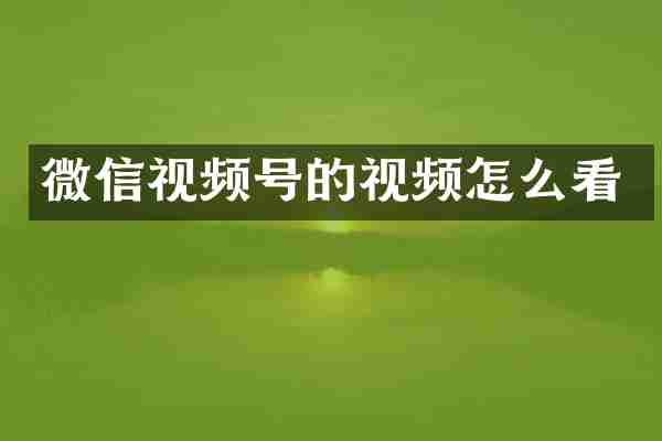 微信视频号的视频怎么看