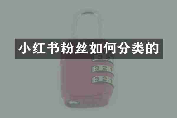 小红书粉丝如何分类的