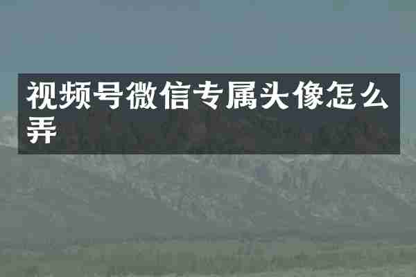 视频号微信专属头像怎么弄