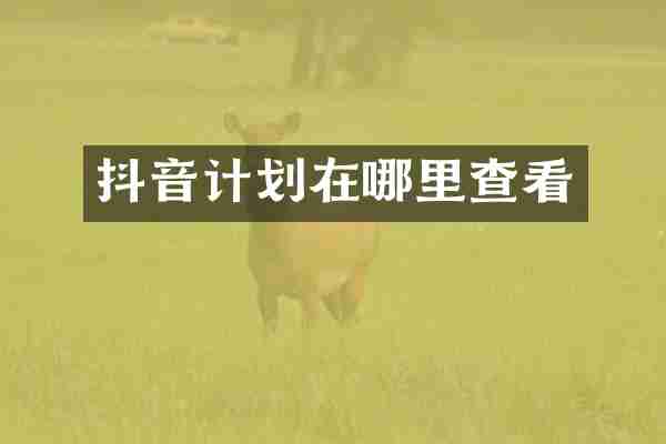 抖音计划在哪里查看