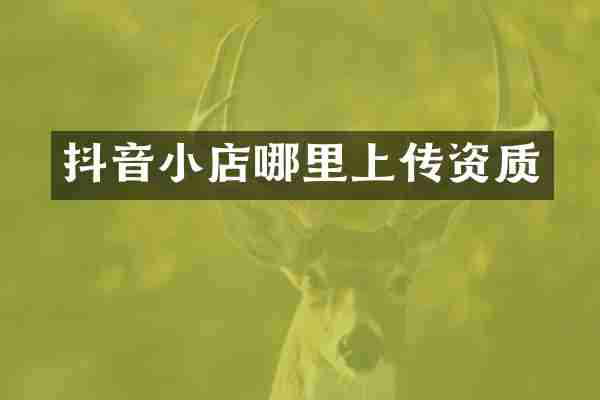 抖音小店哪里上传资质