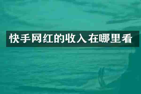 快手网红的收入在哪里看