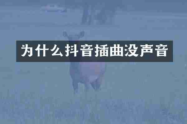 为什么抖音插曲没声音