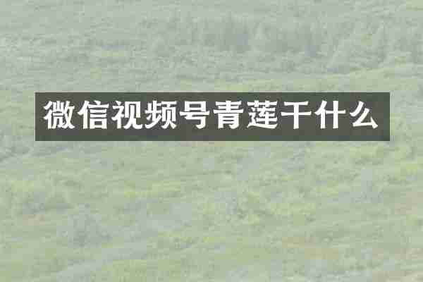 微信视频号青莲干什么