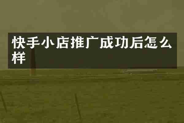 快手小店推广成功后怎么样