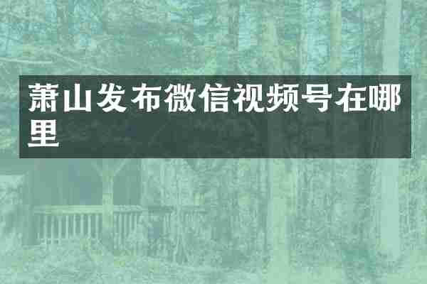 萧山发布微信视频号在哪里