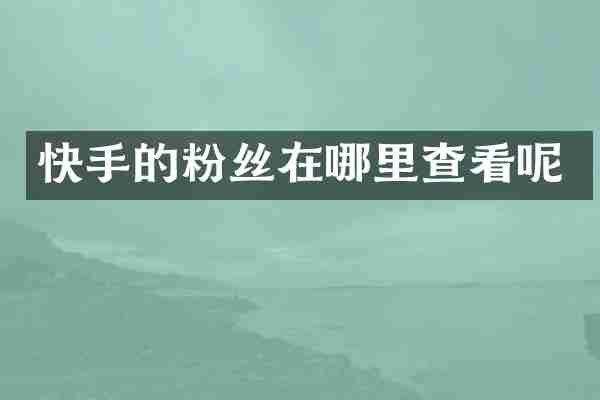 快手的粉丝在哪里查看呢