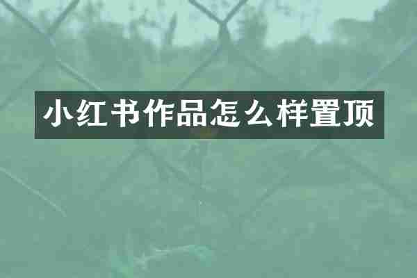 小红书作品怎么样置顶