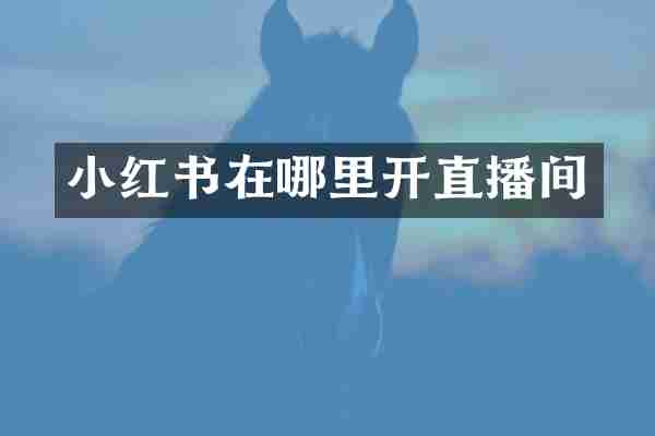 小红书在哪里开直播间