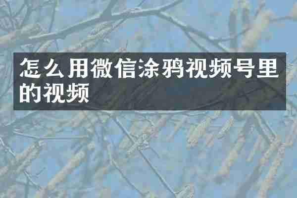怎么用微信涂鸦视频号里的视频