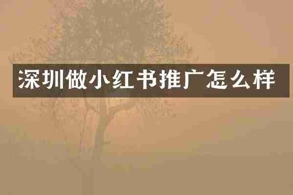 深圳做小红书推广怎么样