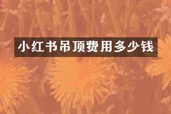 小红书吊顶费用多少钱