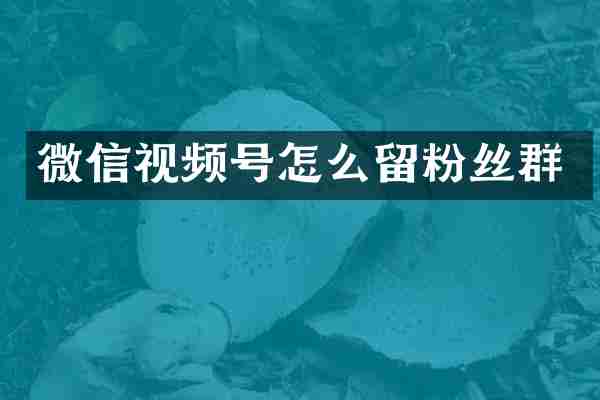 微信视频号怎么留粉丝群
