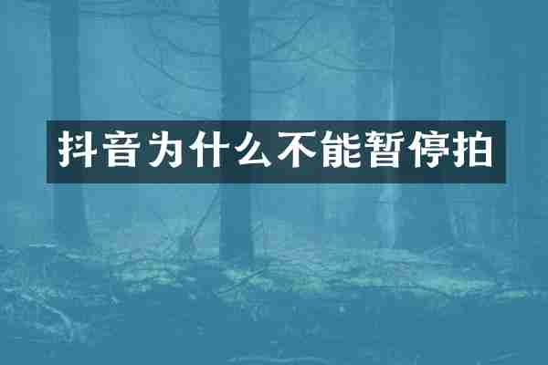抖音为什么不能暂停拍