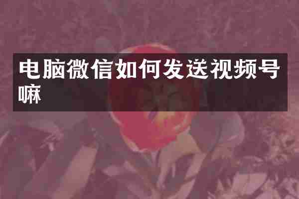 电脑微信如何发送视频号嘛