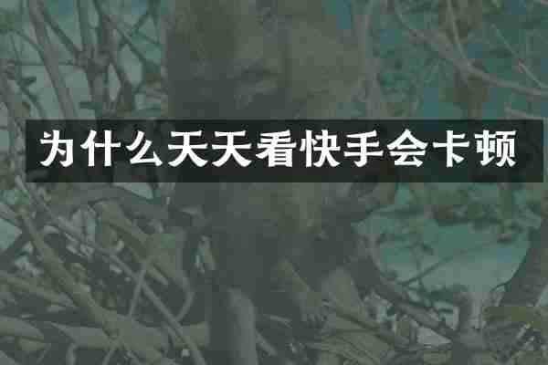 为什么天天看快手会卡顿