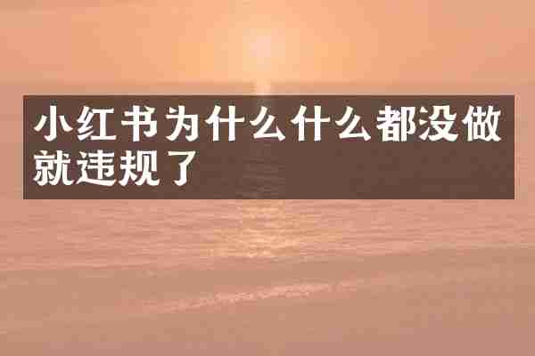 小红书为什么什么都没做就违规了