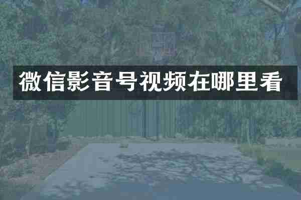 微信影音号视频在哪里看