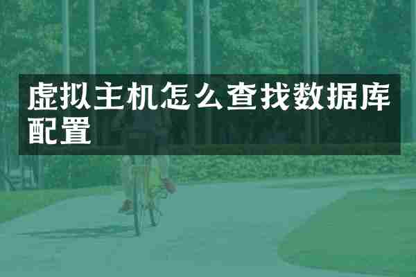 虚拟主机怎么查找数据库配置