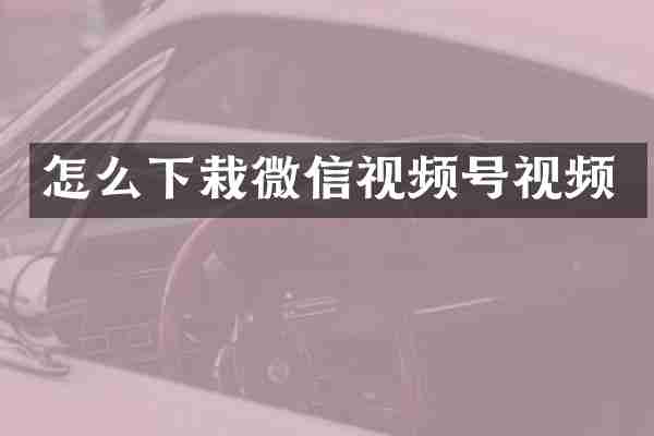 怎么下栽微信视频号视频