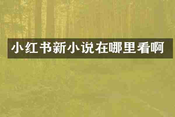 小红书新小说在哪里看啊