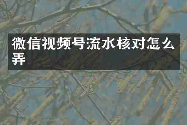 微信视频号流水核对怎么弄
