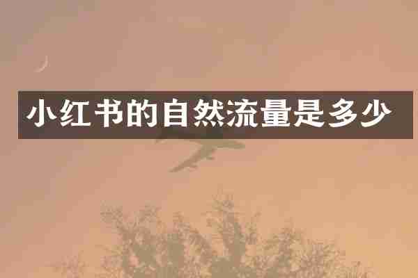 小红书的自然流量是多少