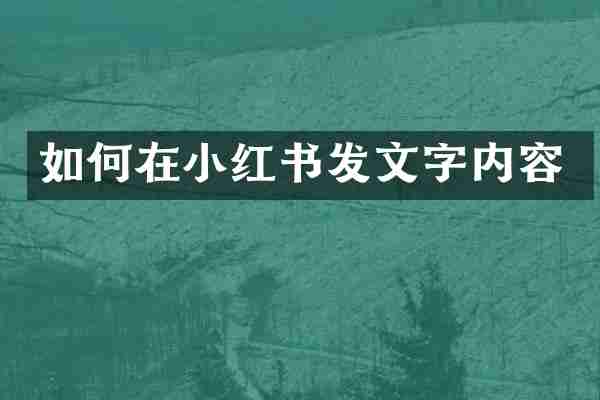 如何在小红书发文字内容