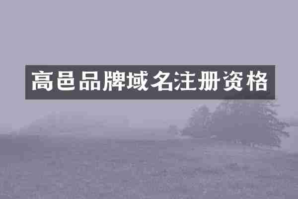 高邑品牌域名注册资格