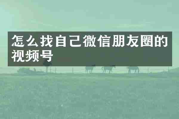怎么找自己微信朋友圈的视频号