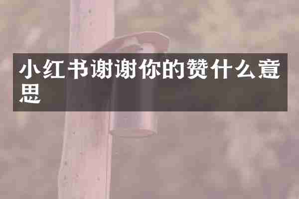 小红书谢谢你的赞什么意思