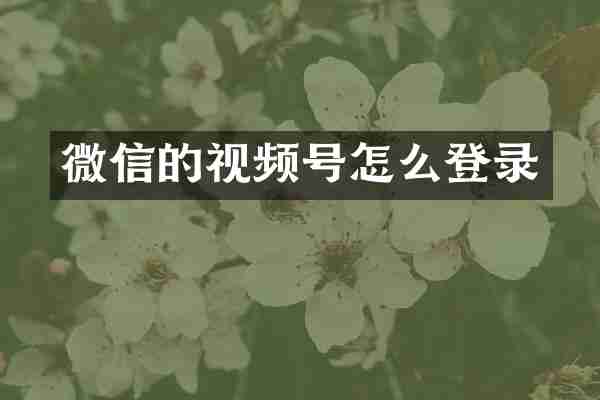 微信的视频号怎么登录