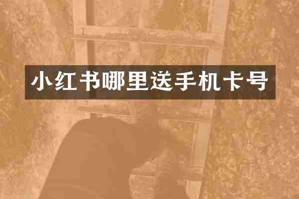 小红书哪里送手机卡号