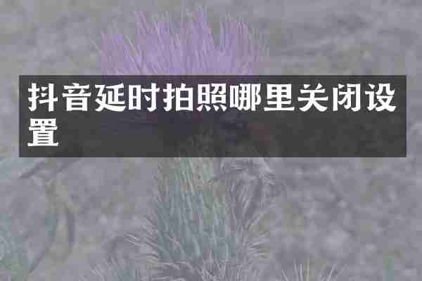 抖音延时拍照哪里关闭设置