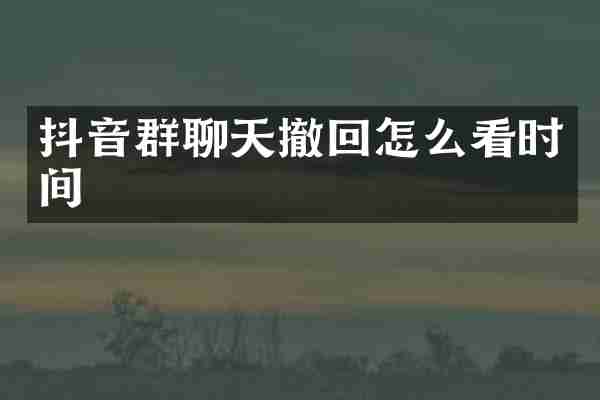 抖音群聊天撤回怎么看时间