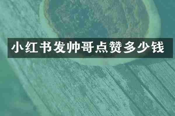 小红书发帅哥点赞多少钱