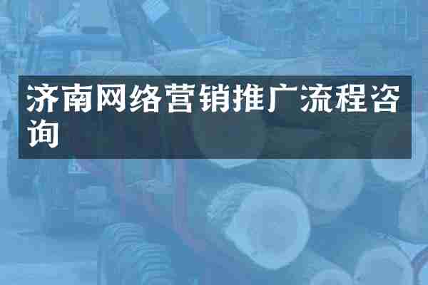 济南网络营销推广流程咨询