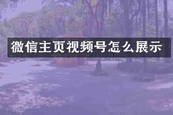 微信主页视频号怎么展示