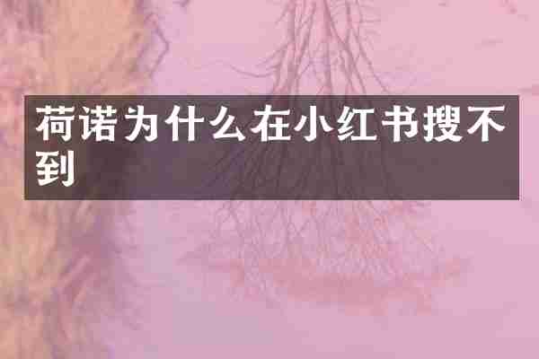 荷诺为什么在小红书搜不到