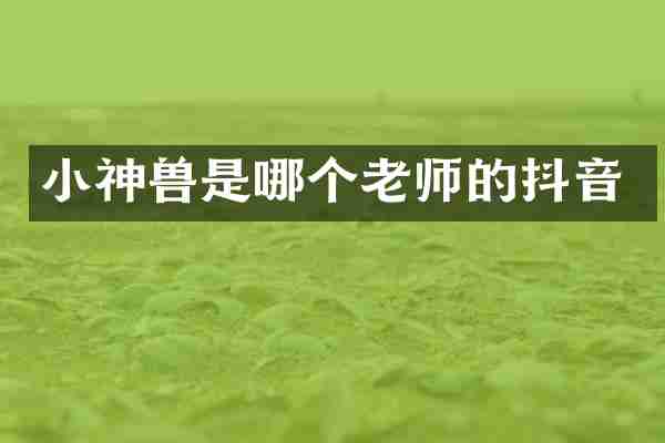 小神兽是哪个老师的抖音