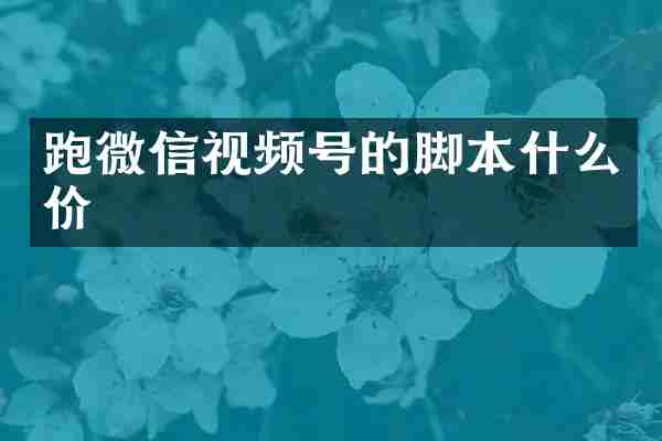 跑微信视频号的脚本什么价