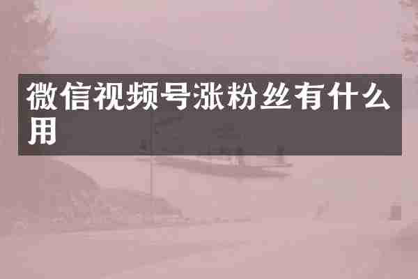 微信视频号涨粉丝有什么用