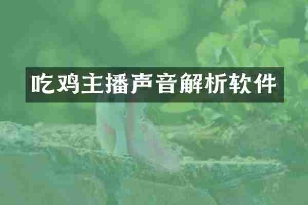 吃鸡主播声音解析软件