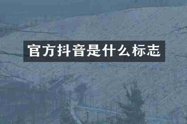 官方抖音是什么标志