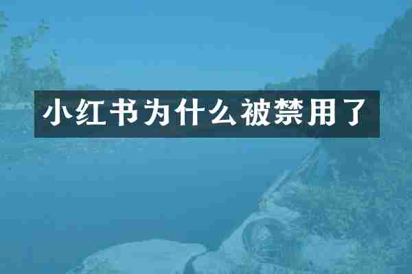 小红书为什么被禁用了